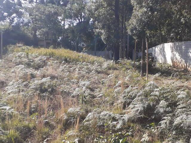 #4 - Área para Venda em São Bento do Sapucaí - SP