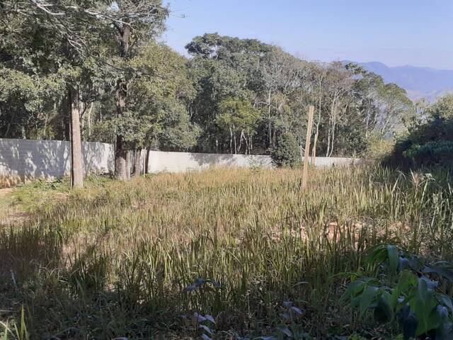#4 - Área para Venda em São Bento do Sapucaí - SP